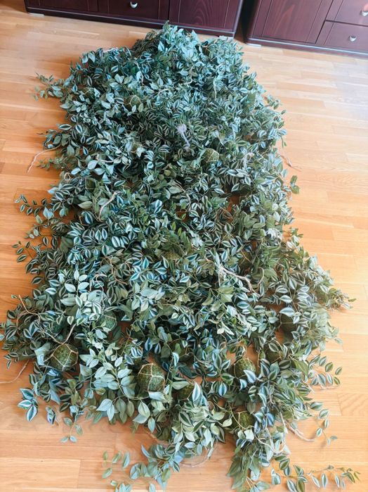 Dekoracja dżungla zielone kule