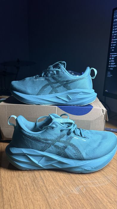 Asics Novablast 5 43.5