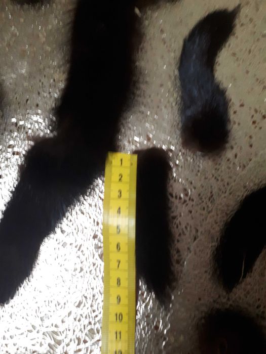 Хвостики норки разных размеров