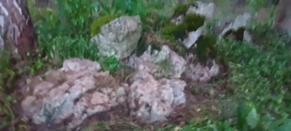 9 dużych głazów  wapiennych ,ostańców
