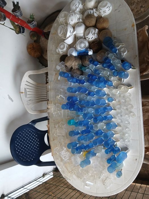 Asesorios para passaros