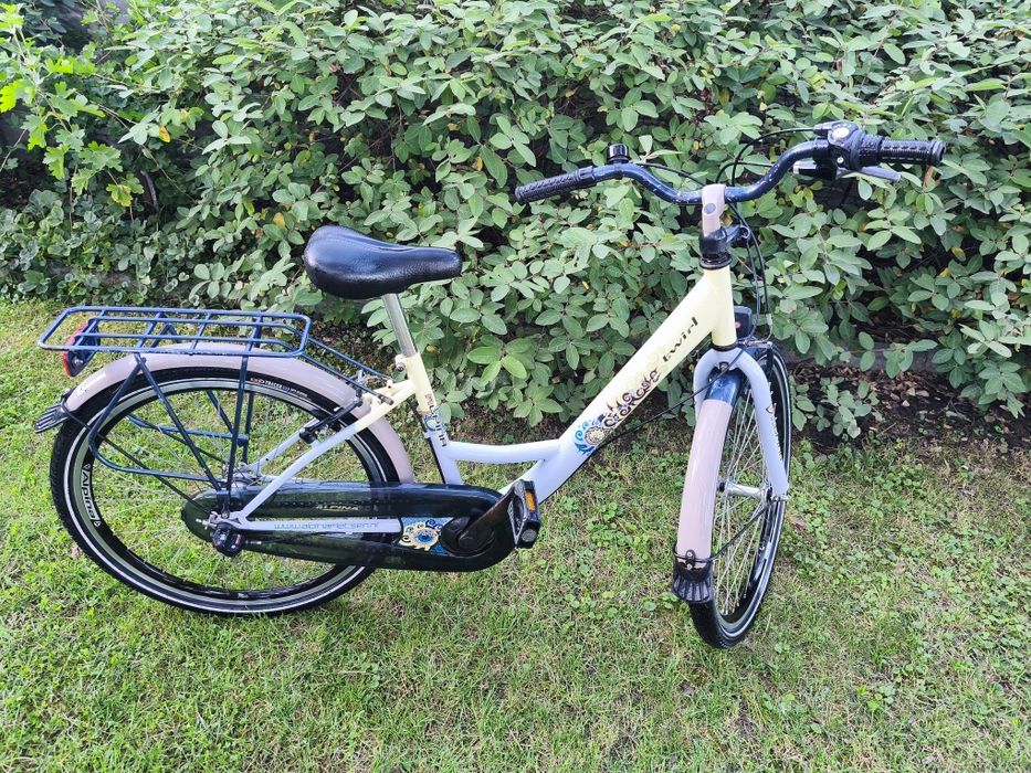 Rower Alpina 24 cali