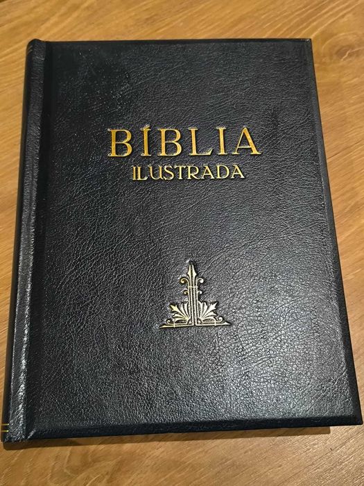 Livro "Bíblia Ilustrada" – 6 de 7 Volumes