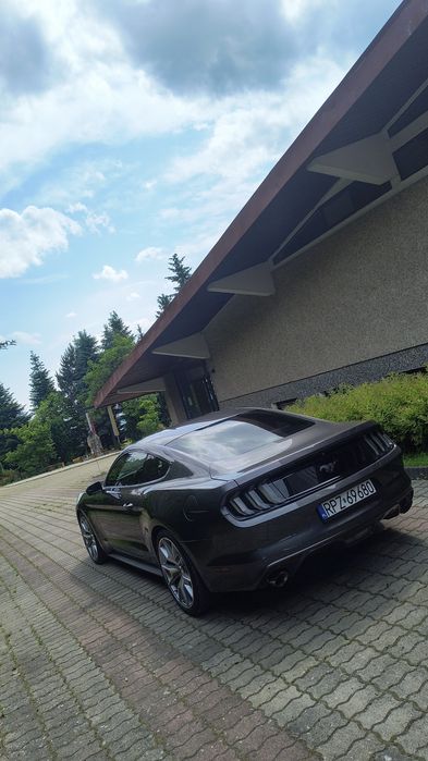 Auto do ślubu / Mustang