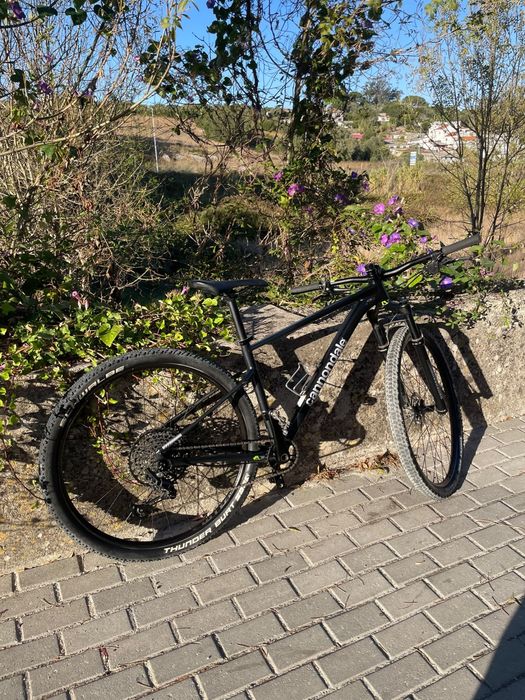 Cannondale btt 29 - OPORTUNIDADE