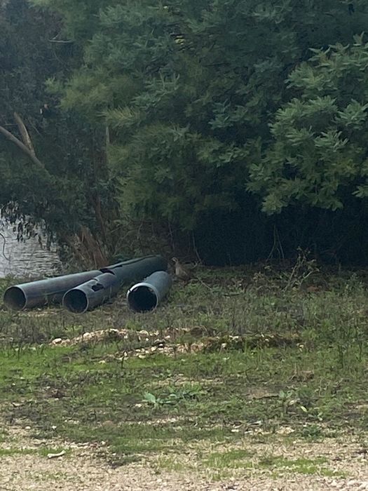 Faço limpeza de terrenos com máquina de roçar.planto relva e corto ..Pladur e capoto