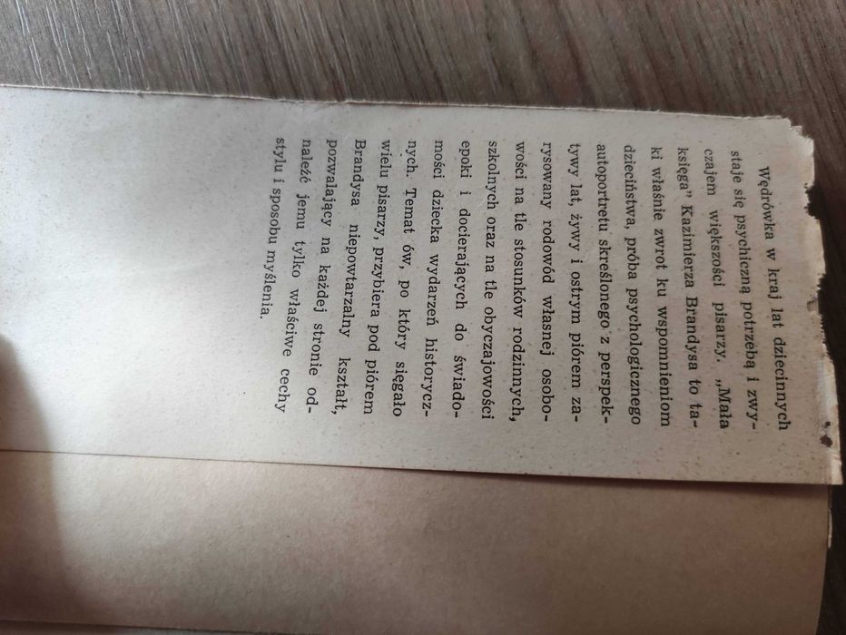 Mała księga - Kazimierz Brandys