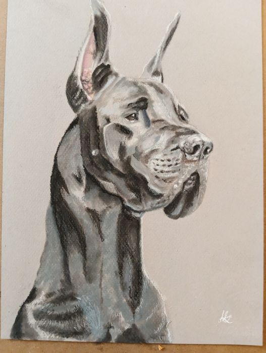 Rysunek Dog Niemiecki