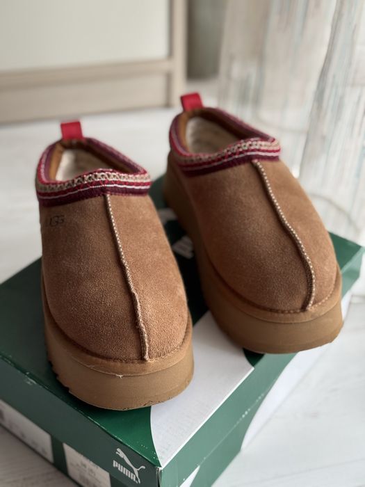 Ugg Tazz замшеві капці
