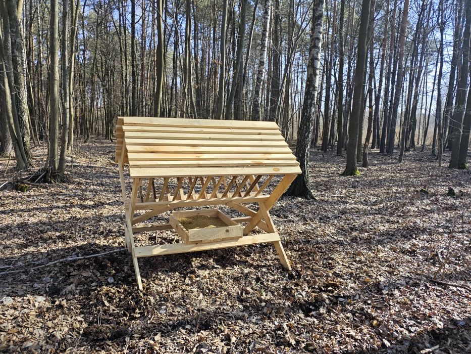 Paśnik dla saren ,jeleni ,