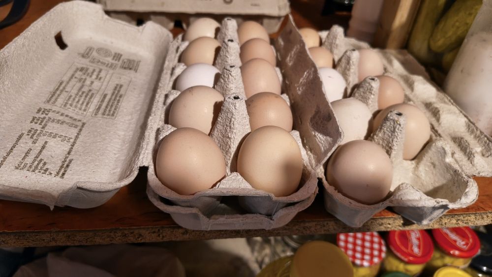 Jaja od młodych kurek 70gr-szt
