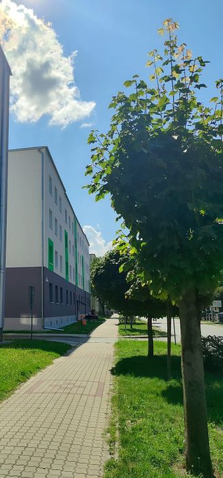 Mieszkanie 47,5 m2