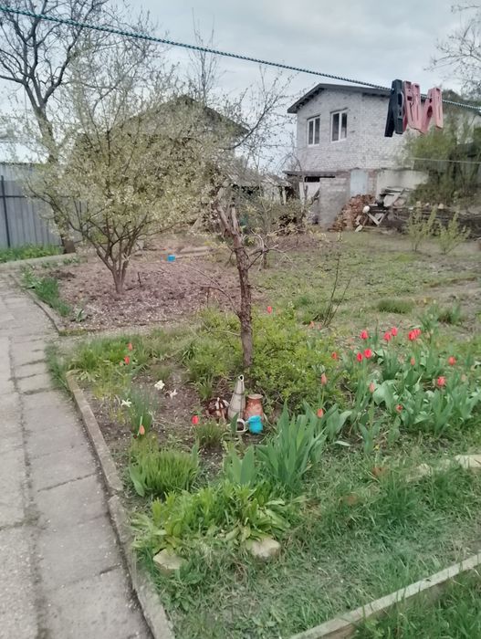 Пол Дома . Харьков