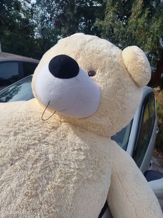 Ведмідь медведь великий плюшевий