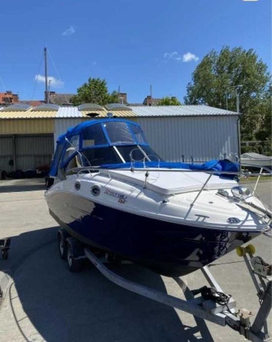 Jacht motorowy Sea Ray 260 Sundance