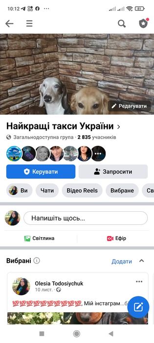 Таксик з насиченим мрамором