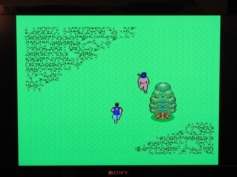 Jogo Sega Master System The Ninja só cartucho
