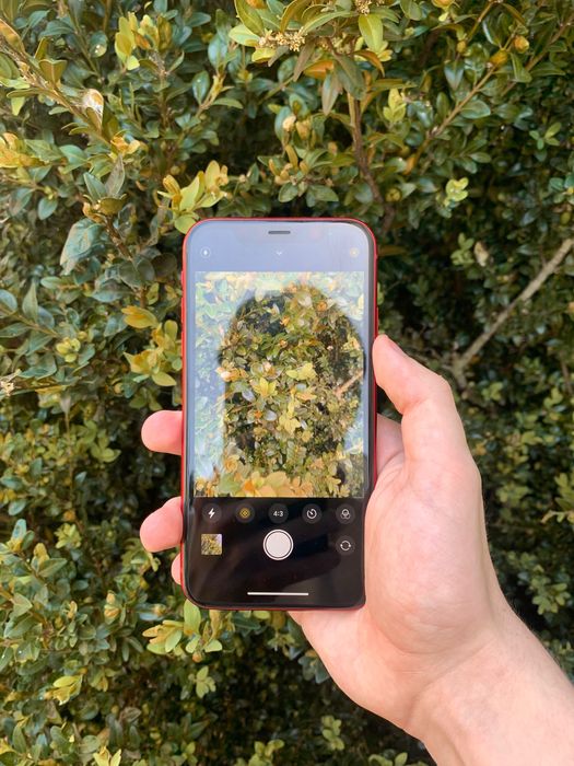 Продам iPhone XR на 256 Gb Neverlock ТЕРМІНОВО!