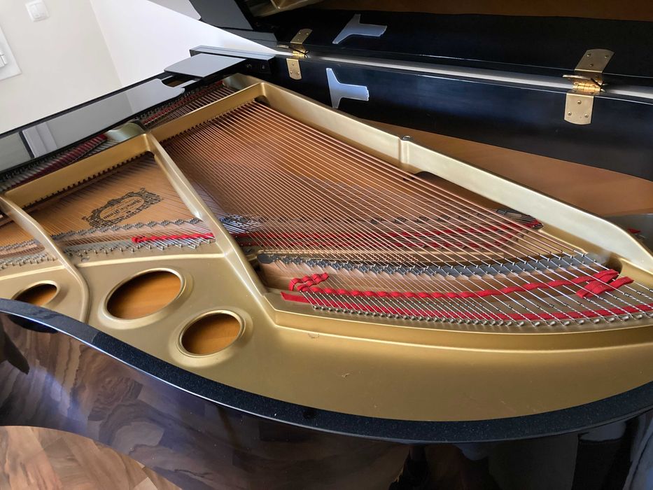 Piano de Cauda Yamaha G5 (Baixa de preço! Transporte e 1ª Afinação)