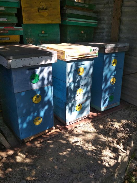 Продам многокорпусные пчелиные ульи.