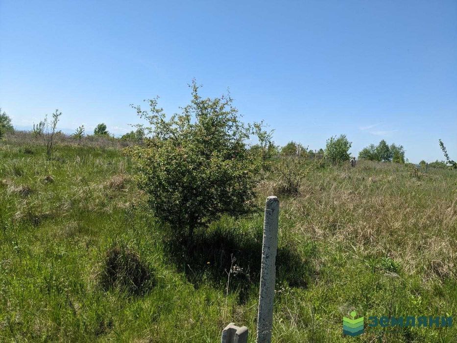 Продається земельна ділянка 12 соток під будівництво в с.Колодіївка (5)