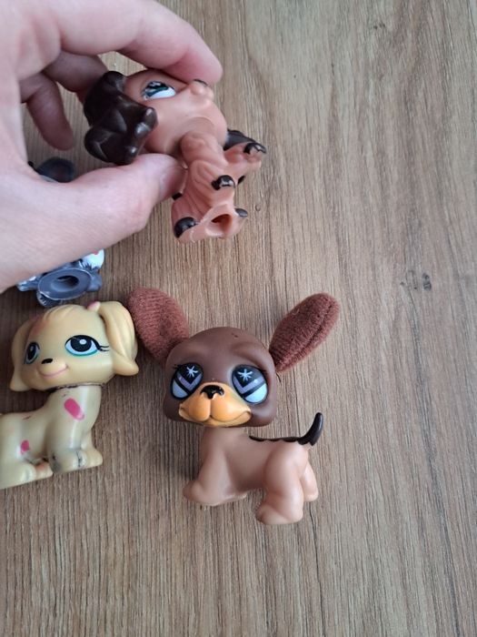 Pet shopy figurki
