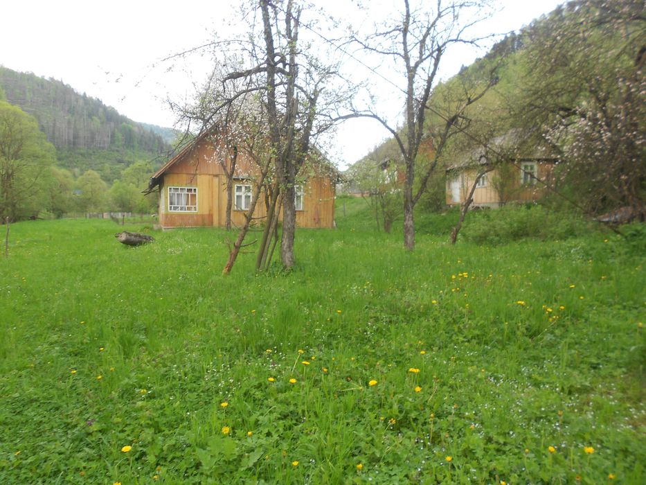 Житловий будинок та земельна ділянка 55,3 сот. с.Козьова