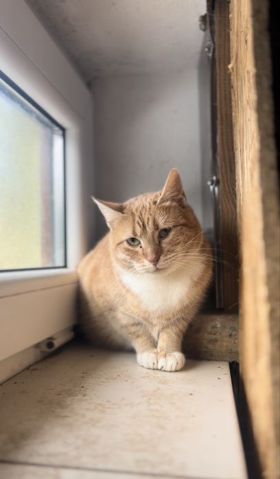 Mela szuka pilnie domu