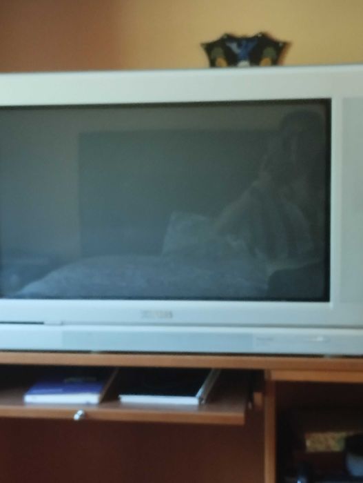 Televisão Philips 73 cm em funcionamento