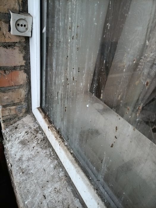 Сезонна мойка вікон ціна акційна до Нового Року
Озонування повітря це-