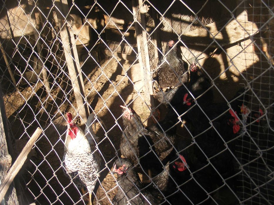 Vendo moradia , propriedade privada com vedação total