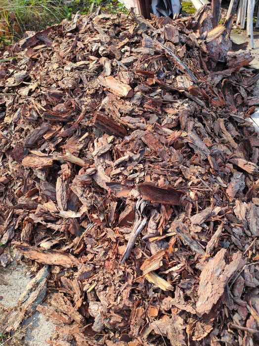 GRUBA sortowana kora ogrodowa sosnowa z odziomków