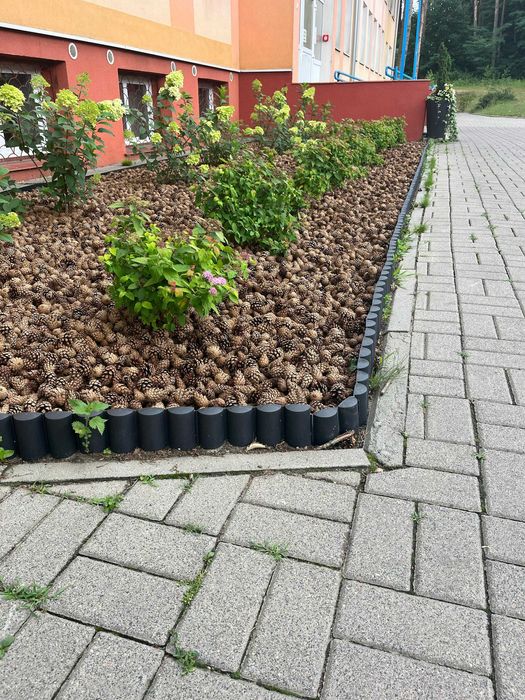 Szyszki sosnowe pozbawione nasion do ściółkowania BIG BAG 150 kg