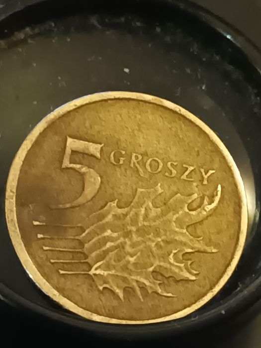 5 groszy 2004 destrukt