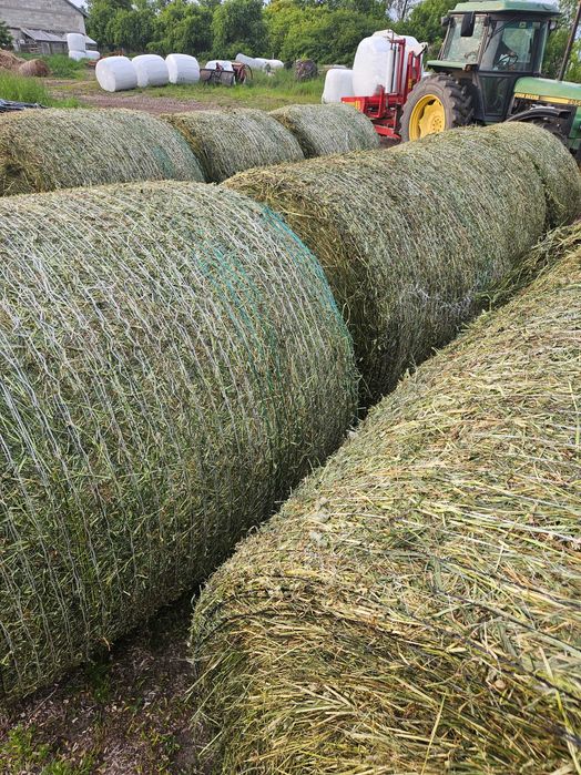 Sianokiszonka w belach, balotach