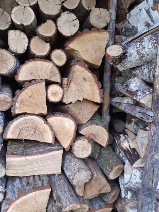 Drewno opałowe (kominkowe lub w wałkach)