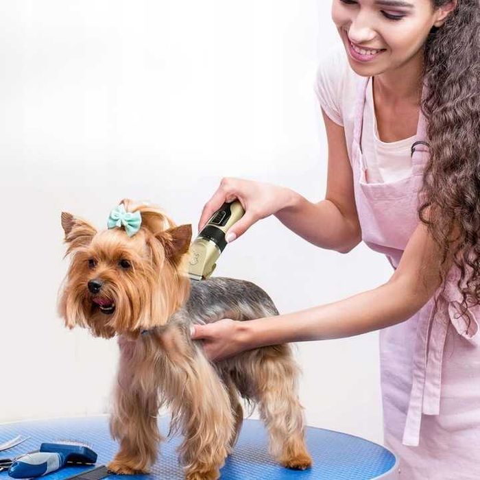 NOWA Profesjonalna Maszynka Do Strzyżenia Psa Zwierzat Włosów Dla Psów