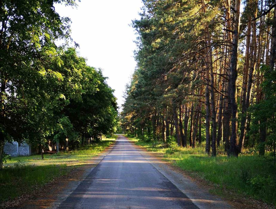 Участок 10сот 20кВ Бровари Поляна Лісове Озеро