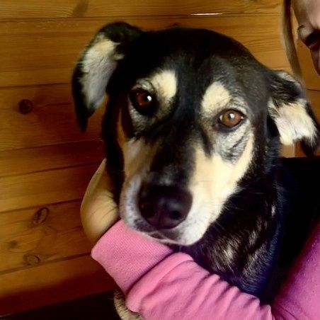 Wesoly slodziak Gufik czeka na dom