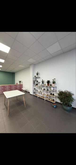 Wynajme sklep 140-240 m2 w galerii handlowej