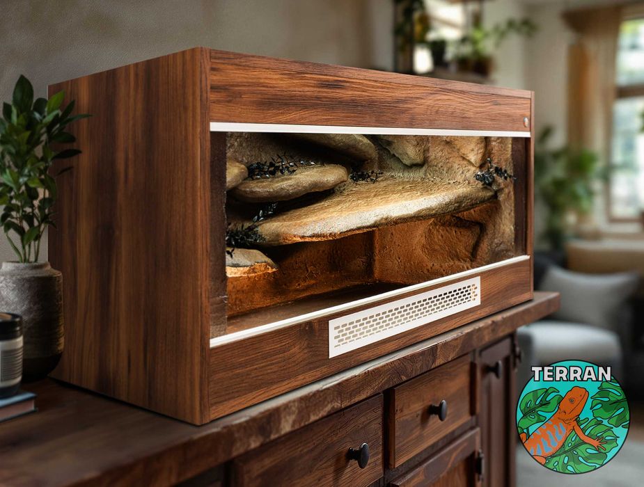 Terrarium 120x60x60 cm Anolis Gekon Agama wąż zbożowy