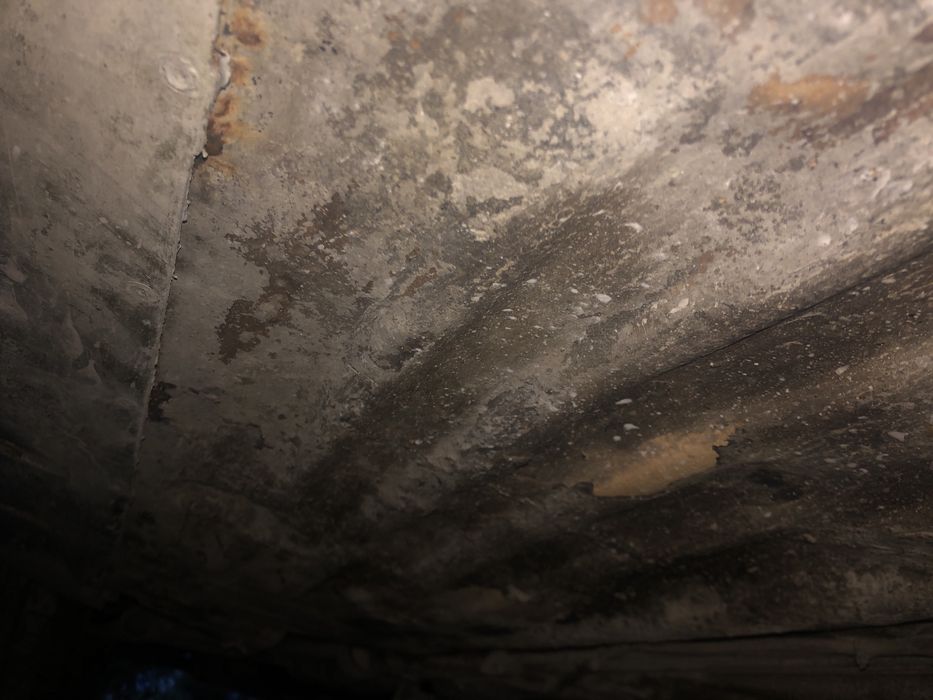 Продам honda civic 5 в нормальному стані