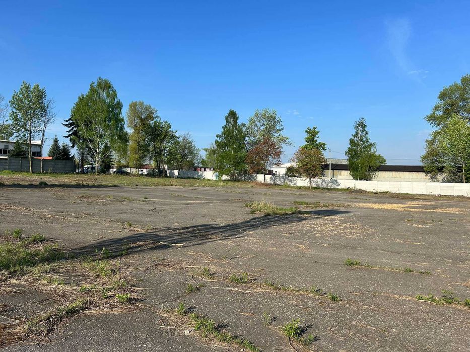 Teren do wynajęcia BYTOM, 5000 m²