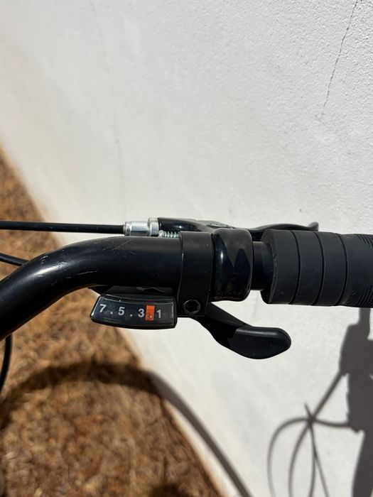 Bicicleta Italiana Zephyr de 8 velocidades  M