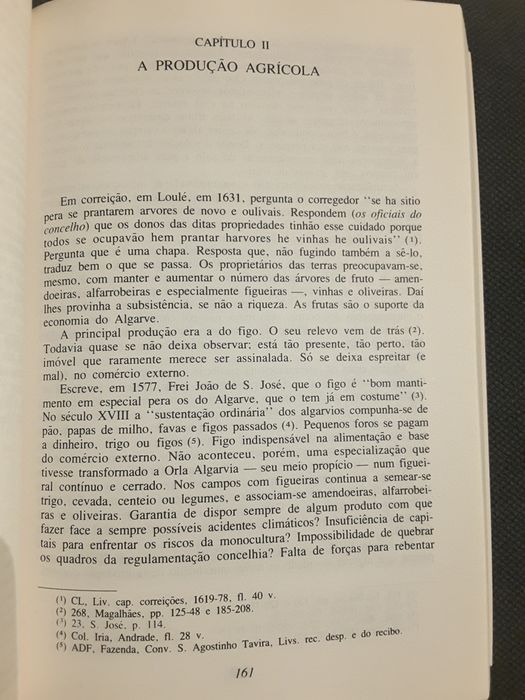 O Algarve Económico / Vila Pombalina Vila Real de Santo António