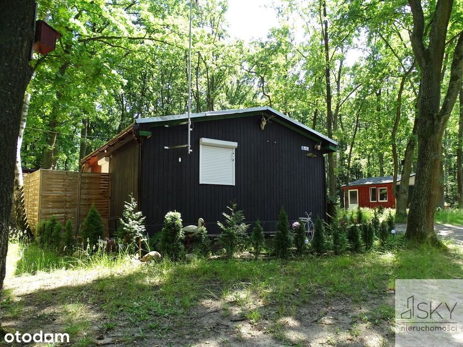 Całoroczny domek nad stawami | Wilczyn Leśny