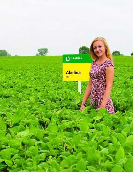 Nasiona Soi Acassa Abaca Abelina Aurelia zaprawione zaszczepione