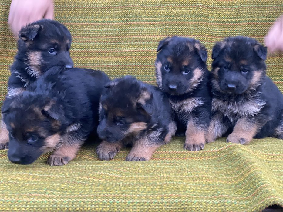 Найкращі малюки з документами