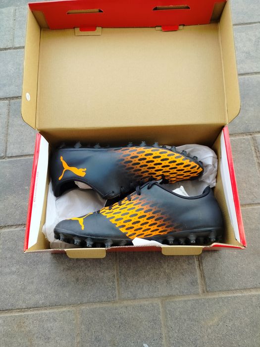 Korkowce oryginalne Pumy