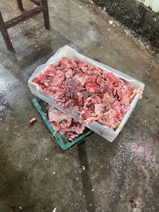 Корм собакам фарш мясо для собак мʼясообрізь сясообрезь